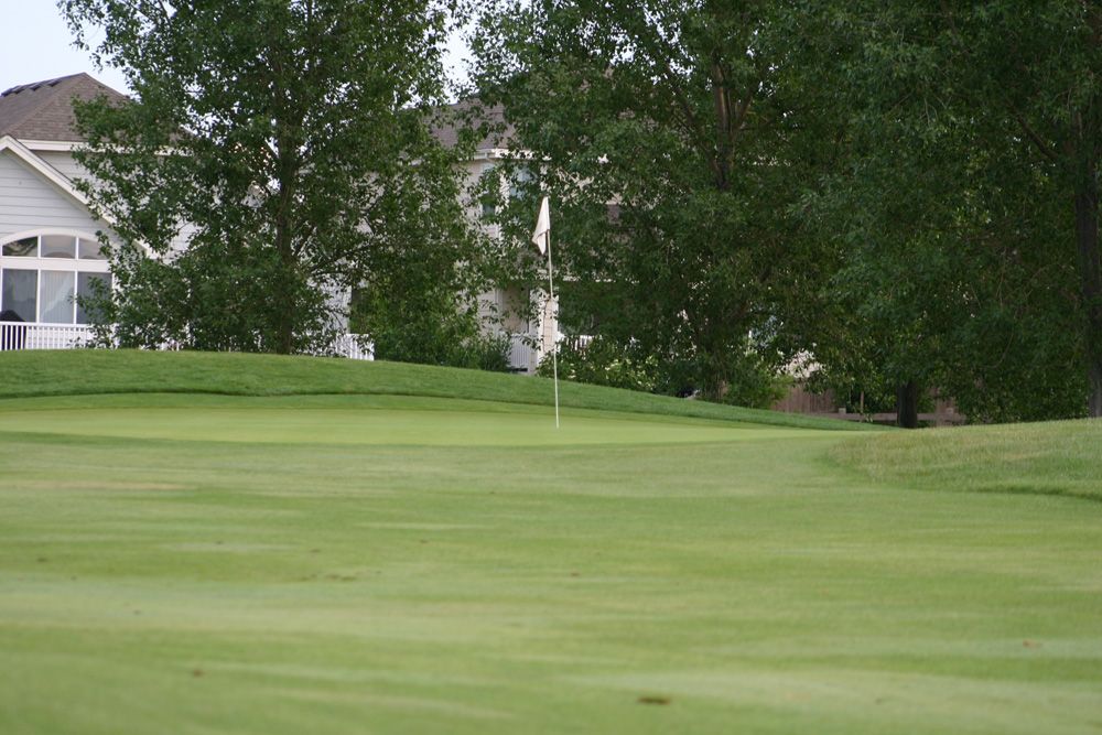 Daily Dining - Raccoon Creek Golf Course